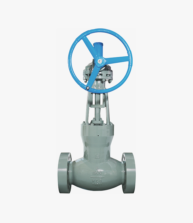Power Station Globe Valve