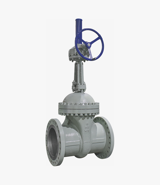 API Standard gate valve