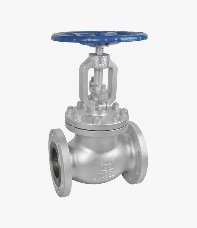 API Standard globe valve