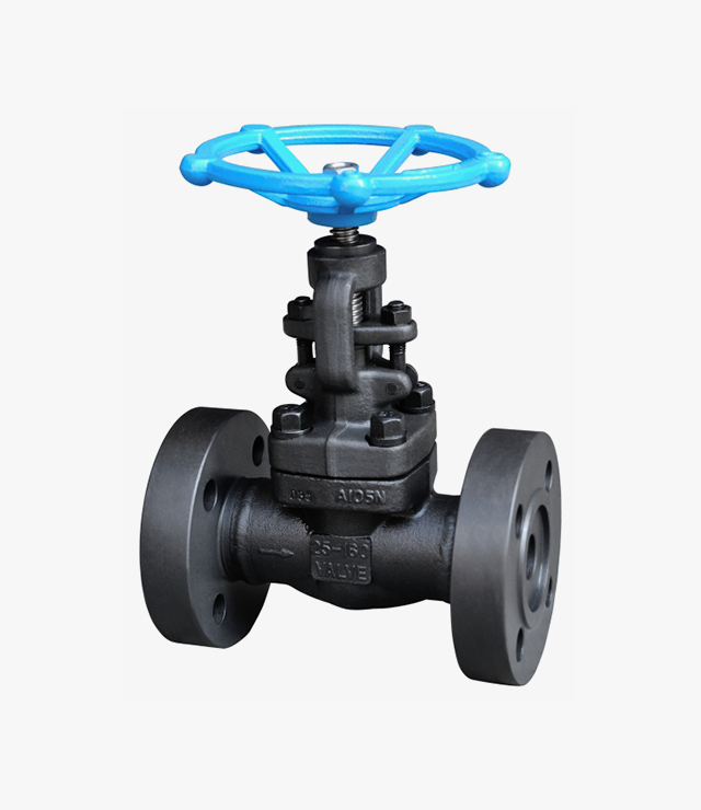 Forged steel flanged globe valve